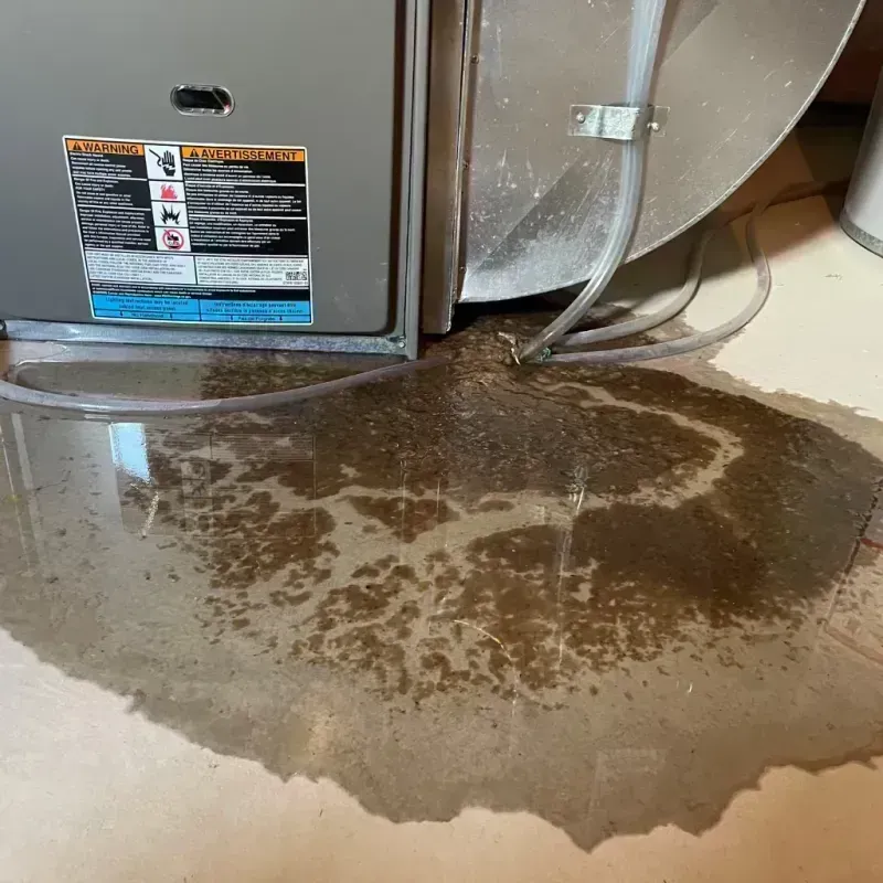 Appliance Leak Cleanup in Oglala Lakota County, SD